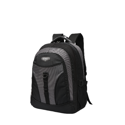 Eagle Trendy Laptop Backpack